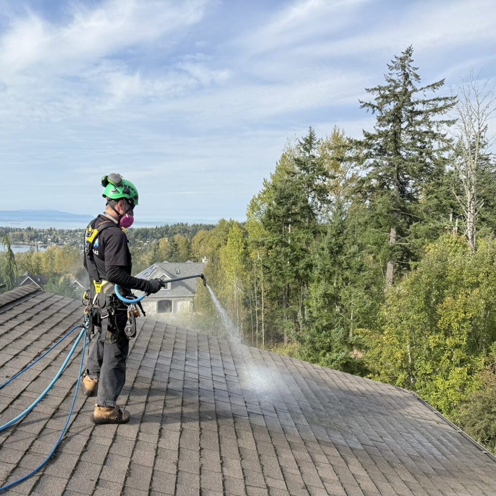 captain clean roof cleaning